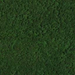 Satellite imagery of Jim Lee Ridge, US