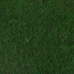 Satellite imagery of Mammoth Cave Ridge, US