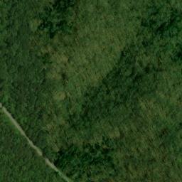 Satellite imagery of Mammoth Cave Ridge, US
