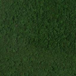 Satellite imagery of Mammoth Cave Ridge, US