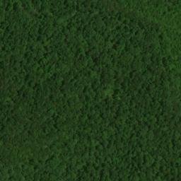 Satellite imagery of Mammoth Cave Ridge, US
