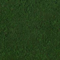 Satellite imagery of Mammoth Cave Ridge, US