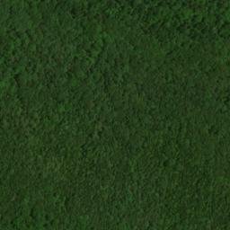 Satellite imagery of Mammoth Cave Ridge, US
