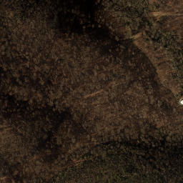 Satellite imagery of Pine Spur, US