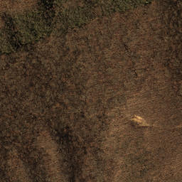 Satellite imagery of Pine Spur, US