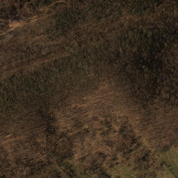 Satellite imagery of Pine Spur, US