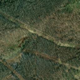 Satellite imagery of Whitley Ridge, US