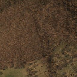 Satellite imagery of Pine Spur, US