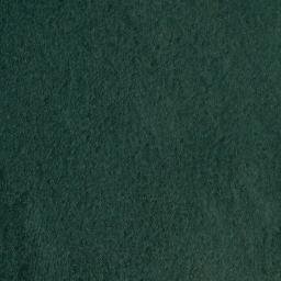 Satellite imagery of Shaver Lake Point, US