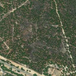Satellite imagery of Punta del Picacho, ES