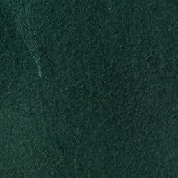 Satellite imagery of Shaver Lake Point, US