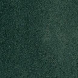 Satellite imagery of Shaver Lake Point, US