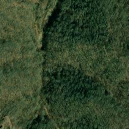 Satellite imagery of Nealy Ridge, US