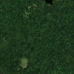 Satellite imagery of Chestnut Oak Ridge, US