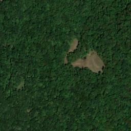 Satellite imagery of Chestnut Oak Ridge, US