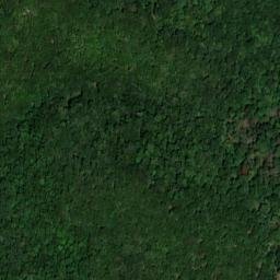 Satellite imagery of Chestnut Oak Ridge, US