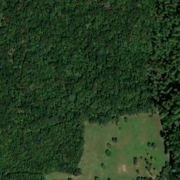 Satellite imagery of Chestnut Oak Ridge, US