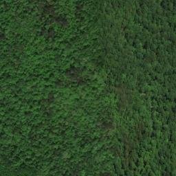Satellite imagery of Pea Ridge, US