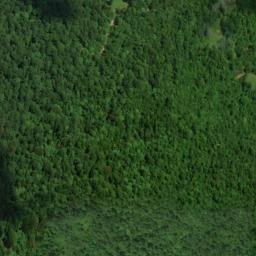 Satellite imagery of Pea Ridge, US