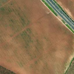 Satellite imagery of survey_point, DZ