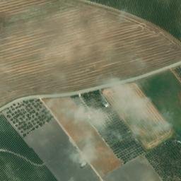 Satellite imagery of survey_point, DZ