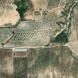 Satellite imagery of survey_point, DZ