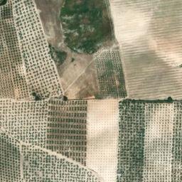 Satellite imagery of survey_point, DZ