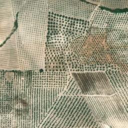 Satellite imagery of survey_point, DZ