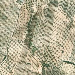 Satellite imagery of survey_point, DZ