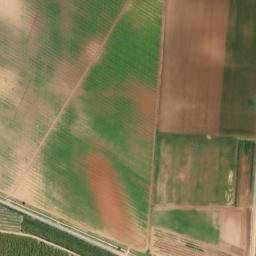 Satellite imagery of survey_point, DZ