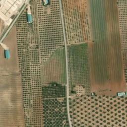 Satellite imagery of survey_point, DZ