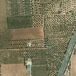 Satellite imagery of survey_point, DZ