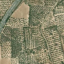 Satellite imagery of survey_point, DZ