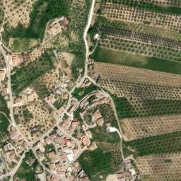 Satellite imagery of survey_point, DZ