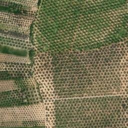 Satellite imagery of survey_point, DZ
