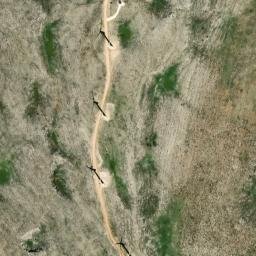 Satellite imagery of survey_point, DZ