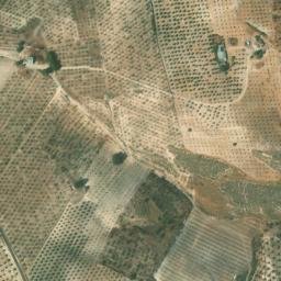 Satellite imagery of survey_point, DZ