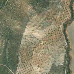 Satellite imagery of survey_point, DZ