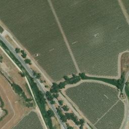 Satellite imagery of survey_point, DZ