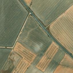 Satellite imagery of survey_point, DZ