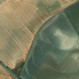 Satellite imagery of survey_point, DZ