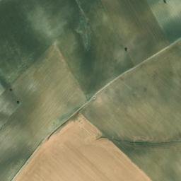 Satellite imagery of survey_point, DZ