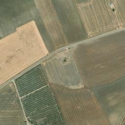 Satellite imagery of survey_point, DZ