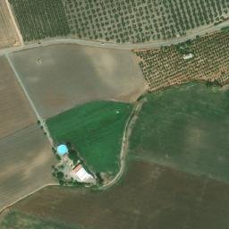 Satellite imagery of survey_point, DZ
