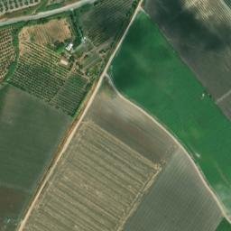 Satellite imagery of survey_point, DZ