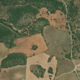 Satellite imagery of survey_point, DZ