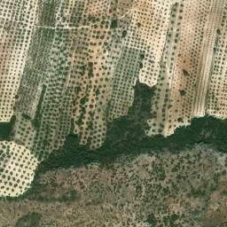 Satellite imagery of survey_point, DZ