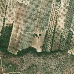 Satellite imagery of survey_point, DZ