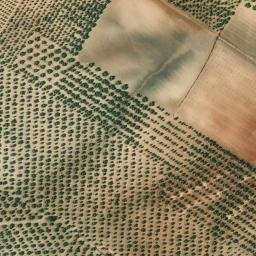 Satellite imagery of survey_point, DZ