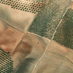 Satellite imagery of survey_point, DZ